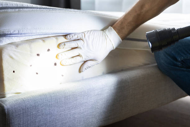 Trusted Jan Phyl Village, FL Pest Control Experts